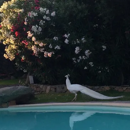 Supavoni Holiday home *